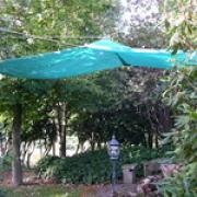 Abridejardin1petit